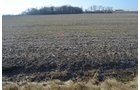 Property photo 27 - East Allen County - 55 Acre Land Auction